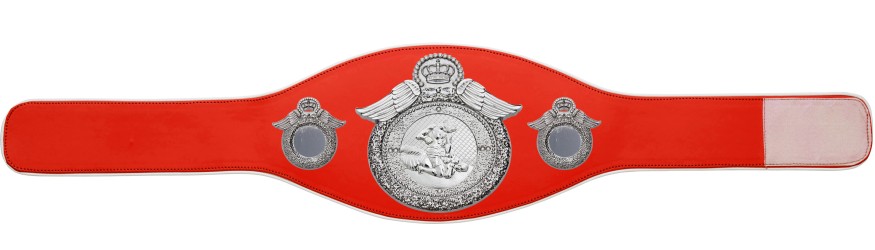 MMA CHAMPIONSHIP BELT-PROWING/S/MMAS - AVAILABLE IN 6+ COLOURS MMA CHAMPIONSHIP BELT-PROWING/S/MMAS - AVAILABLE IN 6+ COLOURS